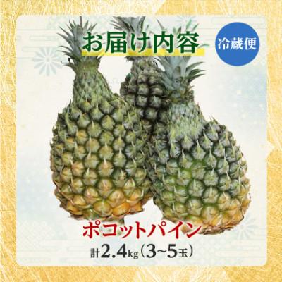 ふるさと納税 今帰仁村 【2027年5月中旬から順次発送】今帰仁村パイン産地協議会 ポコットパイン2.4kg(3〜5玉) |  | 03