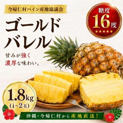 ふるさと納税 今帰仁村 【2027年6月下旬から順次発送】今帰仁村パイン産地協議会 ゴールドバレル1.8kg(1〜2玉) | 