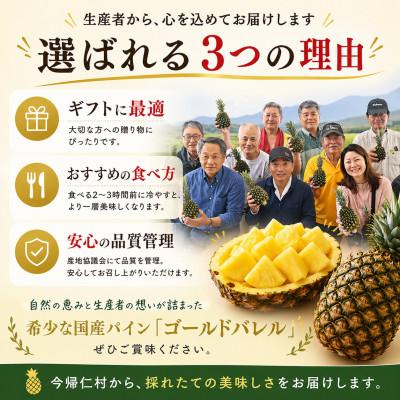 ふるさと納税 今帰仁村 【2027年6月下旬から順次発送】今帰仁村パイン産地協議会 ゴールドバレル1.8kg(1〜2玉) |  | 03