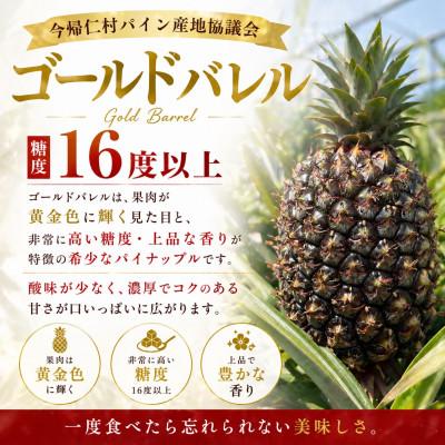 ふるさと納税 今帰仁村 【2027年6月下旬から順次発送】今帰仁村パイン産地協議会 ゴールドバレル3.6kg(2〜3玉) |  | 01