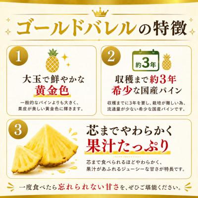 ふるさと納税 今帰仁村 【2027年6月下旬から順次発送】今帰仁村パイン産地協議会 ゴールドバレル3.6kg(2〜3玉) |  | 02