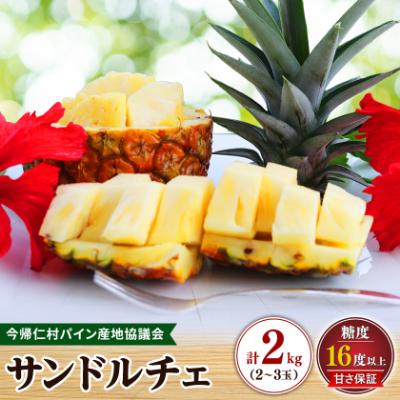 ふるさと納税 今帰仁村 [2027年8月上旬から順次発送]今帰仁村パイン産地協議会 サンドルチェ2.0kg(2〜3玉)