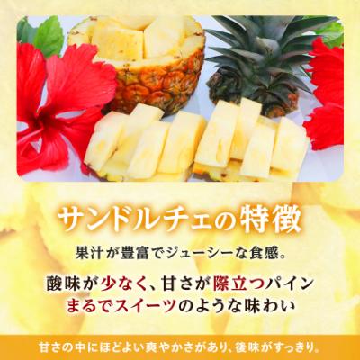 ふるさと納税 今帰仁村 【2027年8月上旬から順次発送】今帰仁村パイン産地協議会 サンドルチェ2.0kg(2〜3玉) |  | 02