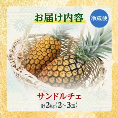 ふるさと納税 今帰仁村 【2027年8月上旬から順次発送】今帰仁村パイン産地協議会 サンドルチェ2.0kg(2〜3玉) |  | 03