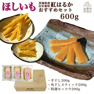 ふるさと納税 龍ケ崎市 山田のややこ -おいものこ- 新おすすめセット 600g