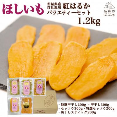 ふるさと納税 取手市 山田のややこ -おいものこ- ほしいも 新バラエティーセット 1.2kg