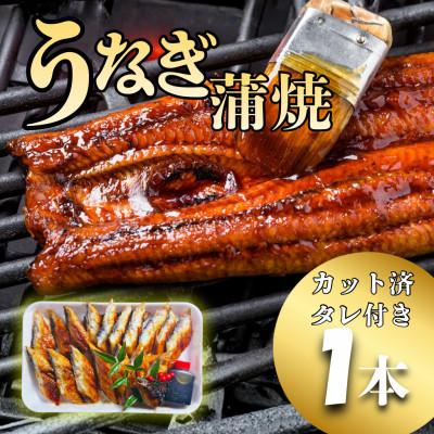 ふるさと納税 七尾市 [大型サイズ・カット済み]国産うなぎ蒲焼 すぐ食べられる職人焼き(1本)