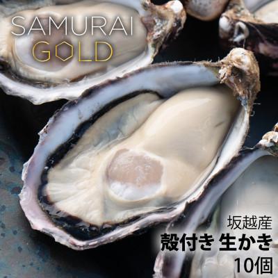 ふるさと納税 赤穂市 サムライゴールド 坂越産 殻付き生牡蠣 10個