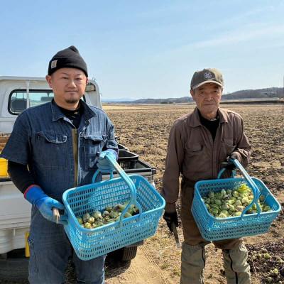 ふるさと納税 天栄村 収穫から24時間以内に発送!ほろ苦い春の味わい「ふきのとう」Sサイズ200g(約30個) |  | 02