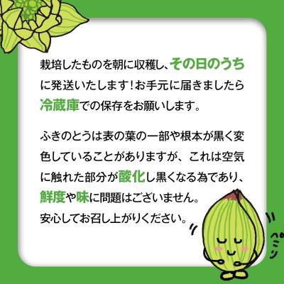 ふるさと納税 天栄村 収穫から24時間以内に発送!ほろ苦い春の味わい「ふきのとう」Sサイズ200g(約30個) |  | 03