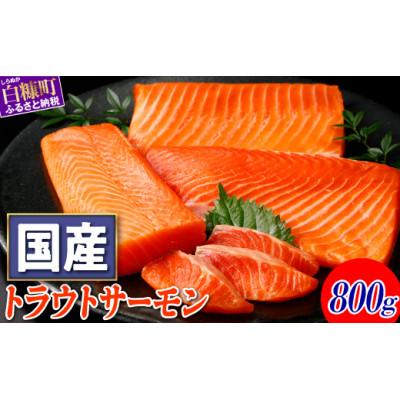 ふるさと納税 白糠町 国産トラウトサーモン[800g]