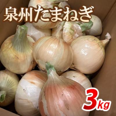 ふるさと納税 高石市 [無選別約3kg|数量限定]泉州たまねぎ 栽培期間中化学肥料・殺虫剤・殺菌剤不使用