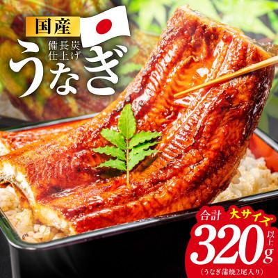 ふるさと納税 泉佐野市 [土用の丑の日]国産うなぎ蒲焼 320g以上(大サイズ2尾) 特別規格 kgp0129d