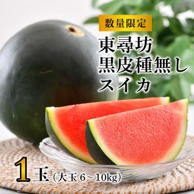 ふるさと納税 坂井市 [2026年7月中旬以降順次発送予定]東尋坊黒皮種なしスイカ6〜10kg[B-10201]