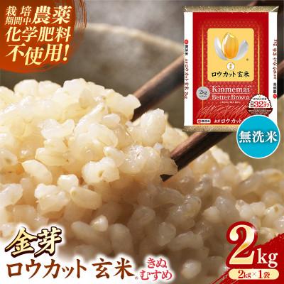 ふるさと納税 安来市 金芽ロウカット玄米 島根県産 きぬむすめ 2kg(2kg×1袋)
