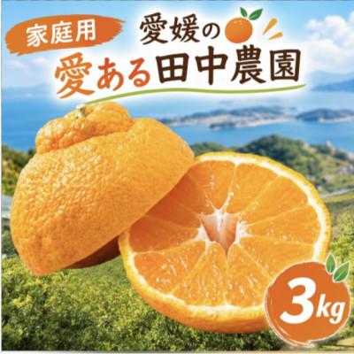 ふるさと納税 松山市 【家庭用】不知火 しらぬい 約3kg【2月下旬から順次発送】 | 