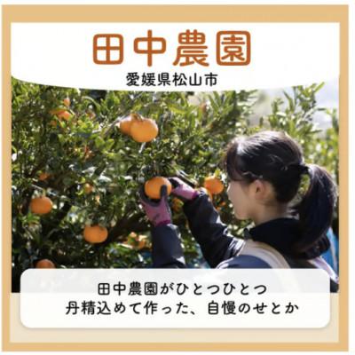 ふるさと納税 松山市 【家庭用】不知火 しらぬい 約3kg【2月下旬から順次発送】 |  | 03