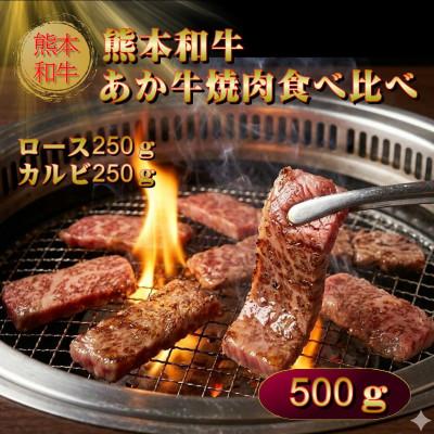 ふるさと納税 阿蘇市 熊本県産あか牛焼肉食べ比べ 500g(阿蘇市)
