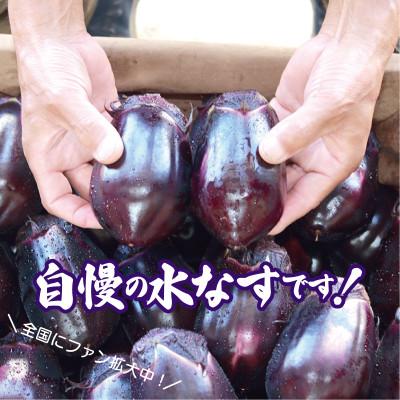 ふるさと納税 泉佐野市 泉州 泉佐野市産 ハウス水なす 6個 とれたて新鮮野菜 005A759 |  | 03
