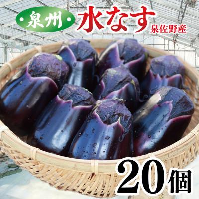 ふるさと納税 泉佐野市 泉州 泉佐野市産 ハウス水なす 20個 とれたて 新鮮野菜 099H4104 | 