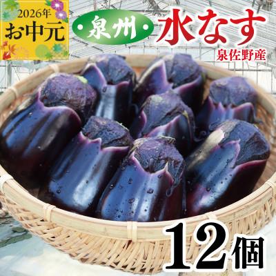 ふるさと納税 泉佐野市 [のし付・お中元]泉州 泉佐野市産 ハウス水なす 12個 とれたて 新鮮野菜 010B1061t