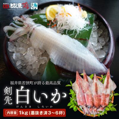 ふるさと納税 若狭町 [若狭湾産]剣先イカ 3〜6杯 スミ抜き 冷凍