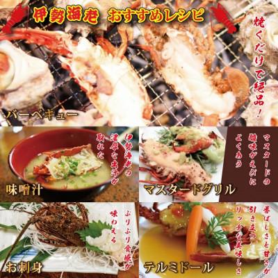 ふるさと納税 大洗町 生冷凍 伊勢海老ハーフカット 700g AP030 |  | 02