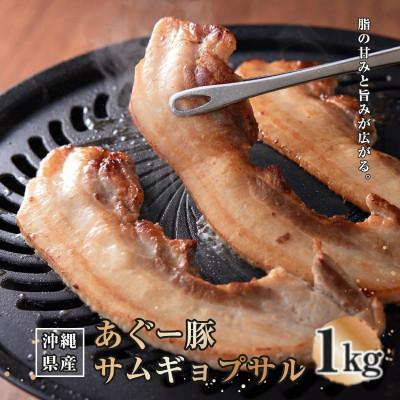 ふるさと納税 南城市 沖縄県産あぐー豚サムギョプサル 1kg(500g×2)