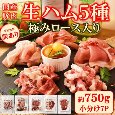 ふるさと納税 三股町 [訳あり]極みロース入り5種食べ比べセット生ハム合計750g[MI735]