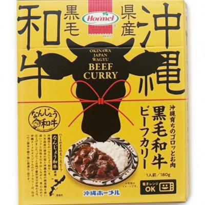 ふるさと納税 南城市 沖縄育ちのゴロっとお肉 黒毛和牛(なんじょう和牛) ビーフカリー