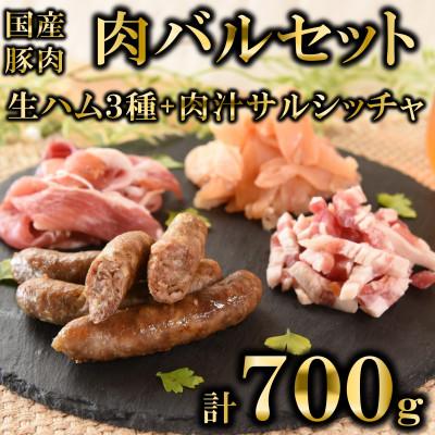 ふるさと納税 三股町 肉バルセット 国産生ハム3種と肉汁サルシッチャ合計700g[MI737]