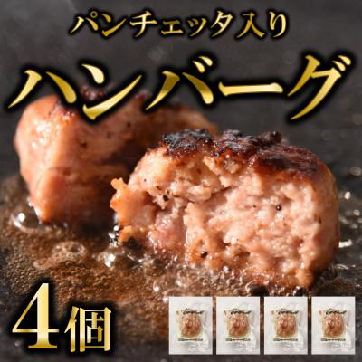 ふるさと納税 三股町 国産パンチェッタ入りハンバーグセット4個[MI741]