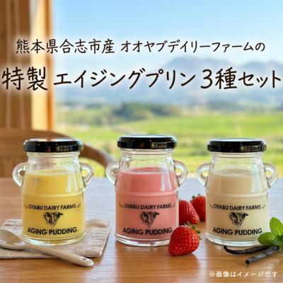 ふるさと納税 合志市 オオヤブデイリーファーム特製!エイジングプリン3本ギフト