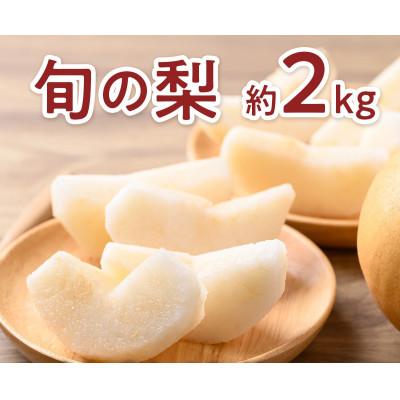 ふるさと納税 山鹿市 旬の梨(あきづき梨または新高梨) 約2kg (山鹿市)