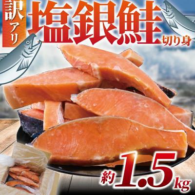 ふるさと納税 藤沢市 [訳あり] 銀鮭 切身(厚切り) 約1.5kg (1切れ 90g〜140g)