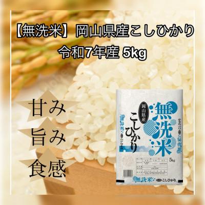 ふるさと納税 久米南町 [無洗米]令和7年産 岡山県産 こしひかり 5kg