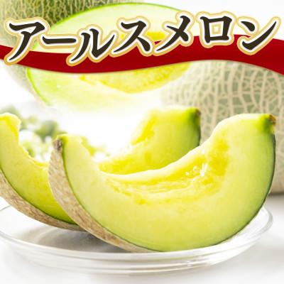 ふるさと納税 宇城市 アールスメロン 1玉 約1.3kg(宇城市)
