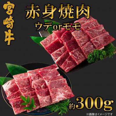 ふるさと納税 三股町 [9月より発送]A4等級以上 宮崎牛赤身焼肉(ウデorモモ)約300g[MI681-9](三股町)