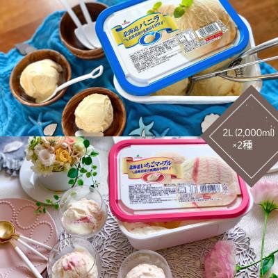 ふるさと納税 さくら市 北海道バニラ・北海道いちごマーブルアイスセット(2L×2個)