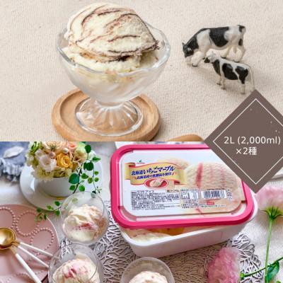 ふるさと納税 さくら市 北海道チョコマーブル・北海道いちごマーブルアイスセット(2L×2個)