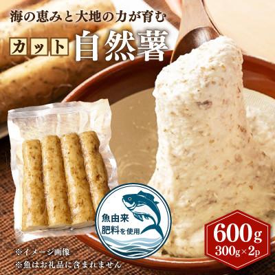 ふるさと納税 御前崎市 ★ひげ根処理済み★カット自然薯 600g (300g×2p)