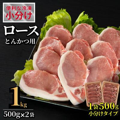 ふるさと納税 佐世保市 長崎県産 豚肉 ロースとんかつ用 計約1kg(1Pあたり100g×5枚入)