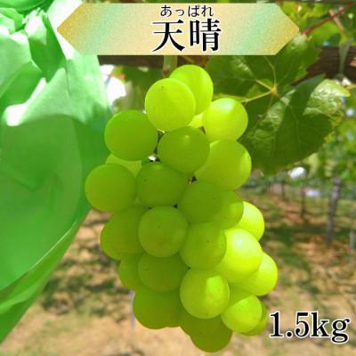 ふるさと納税 高森町 天晴 1.5kg