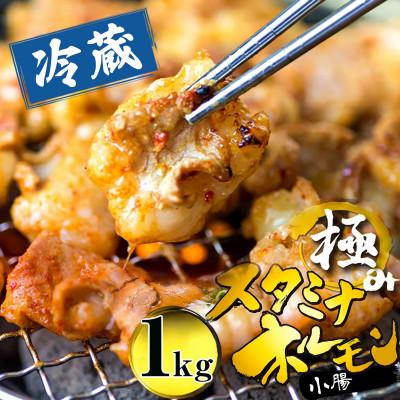 ふるさと納税 舞鶴市 ホルモン牛タレ1kg