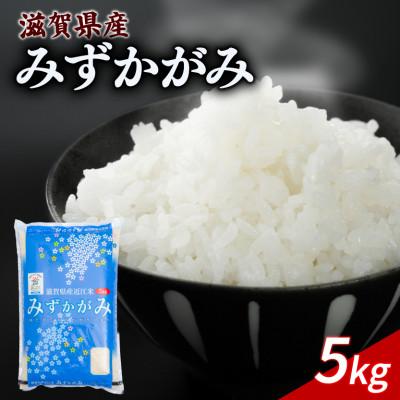 ふるさと納税 彦根市 令和7年産 みずかがみ 5kg [滋賀でとれたお米、近江米!]