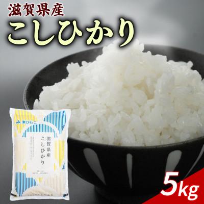 ふるさと納税 彦根市 令和7年産 こしひかり 5kg [滋賀でとれたお米、近江米!]