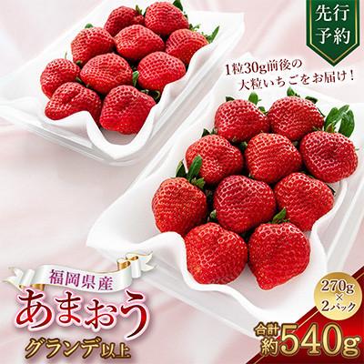 ふるさと納税 太宰府市 先行予約[2027年2月下旬〜3月下旬発送予定]福岡県産 苺「あまおう」グランデ以上 270g×2