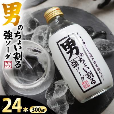 ふるさと納税 吉田町 木村飲料 男のちょい割る強ソーダ 300ml×24本 強炭酸水