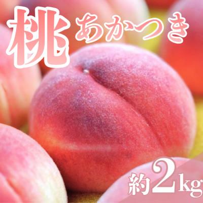 ふるさと納税 豊丘村 [7月下旬より順次発送]南信州産「桃」あかつき 約2kg [5〜9玉]