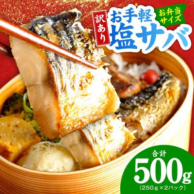 ふるさと納税 泉佐野市 お手軽 訳アリ塩サバ500g 099H4469